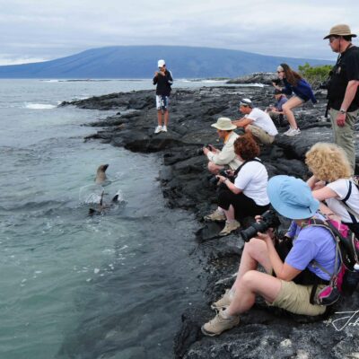 Galapagos Islands travel guide, explore the best of the islands