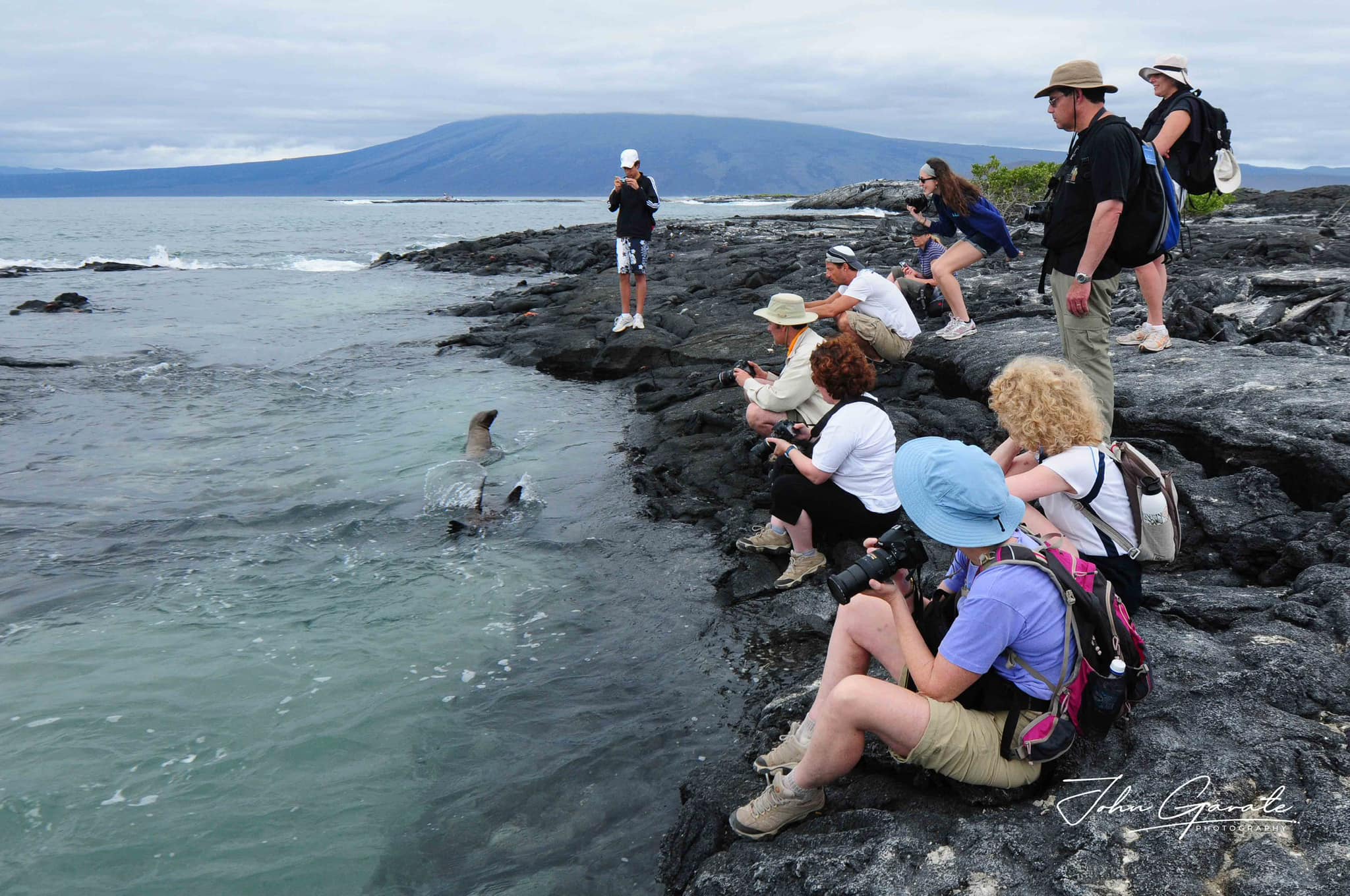 Tourists taking pictures of sea lions in the galapagos islands.