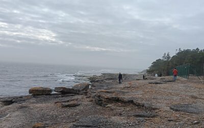 Uncovering Islands: Explore the medieval island in Sweden