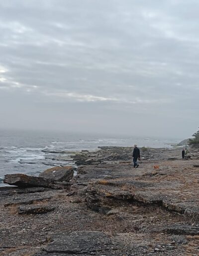 Uncovering Islands: Explore the medieval island in Sweden