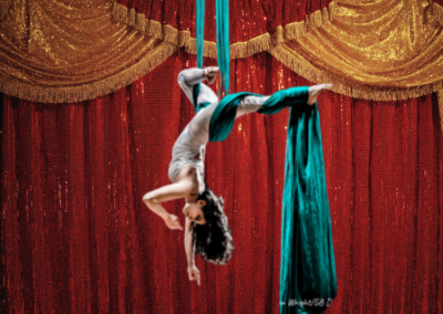 10 questions with an aerial instructor and circus performer!