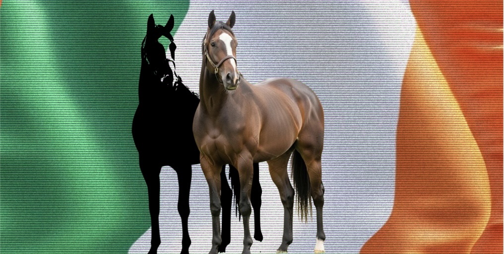 Shergar: Ireland’s Most Notorious Horse Theft