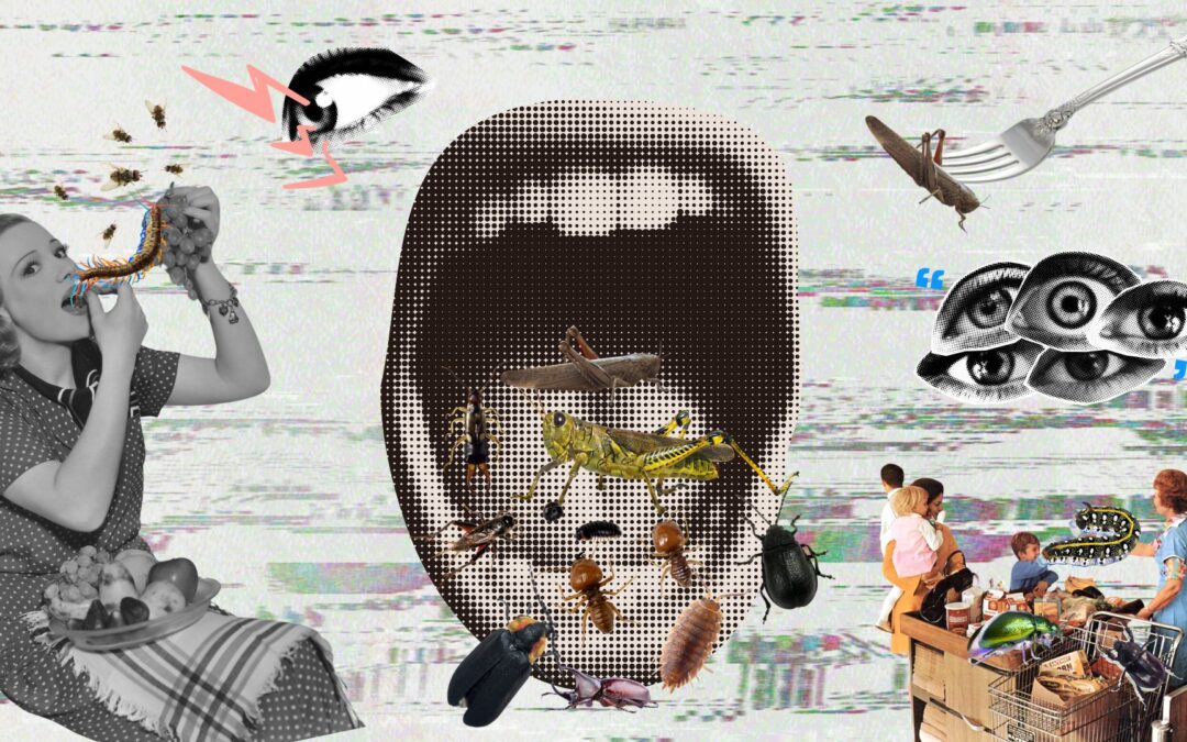 Crunch Time: The Buggy Truth About What’s Really In Our Food
