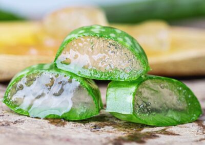 Aloe (versatile) Vera, will this plant really be the answer to curing your skin? 