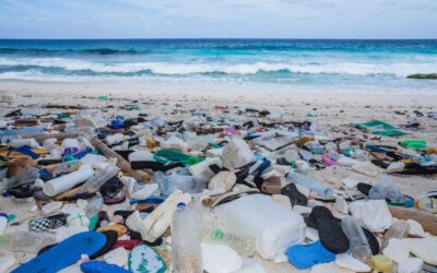 Can Skincare Products be Environmentally Friendly?