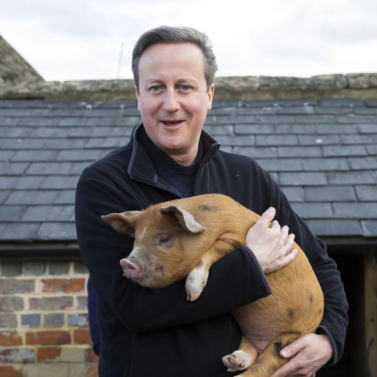 David holding a pig