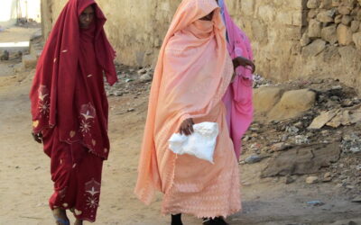Unveiling the imperialism of Western feminism for Muslim women