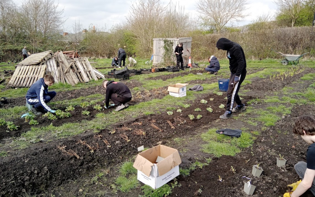 Nature programme helping young people in Sheffield