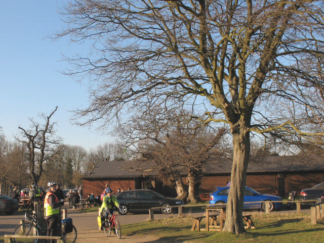 Increasing antisocial behaviour sparks action in Richmond Park