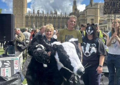 Warning issued against Badger culling in South Yorkshire
