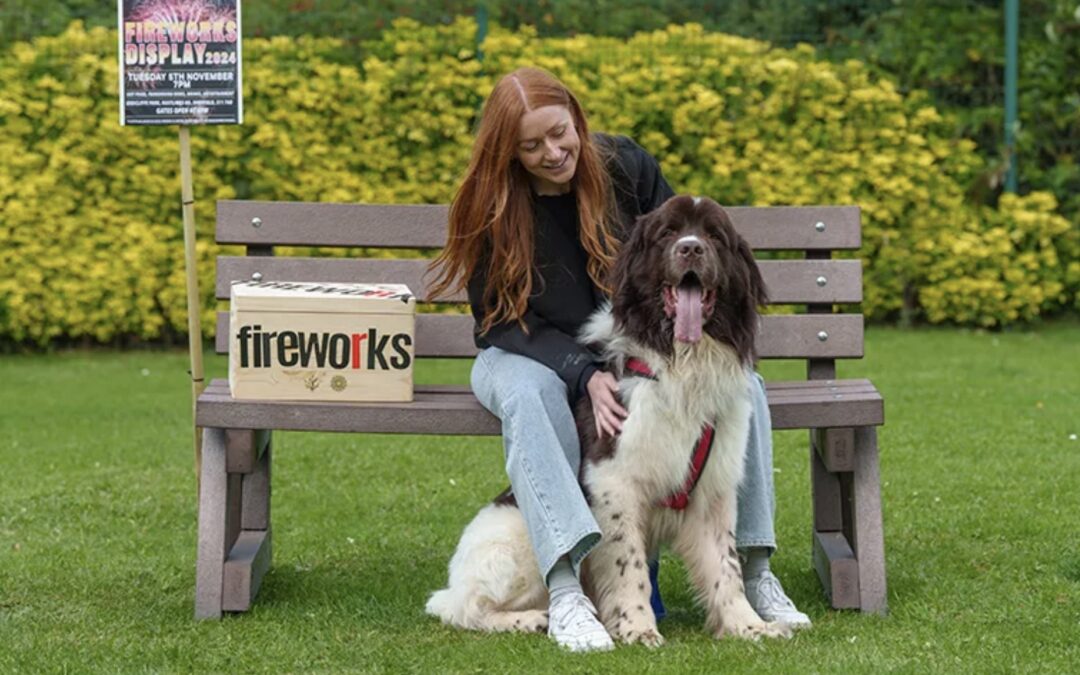 New ‘Kind Sparks’ campaign urges firework safety to protect animals