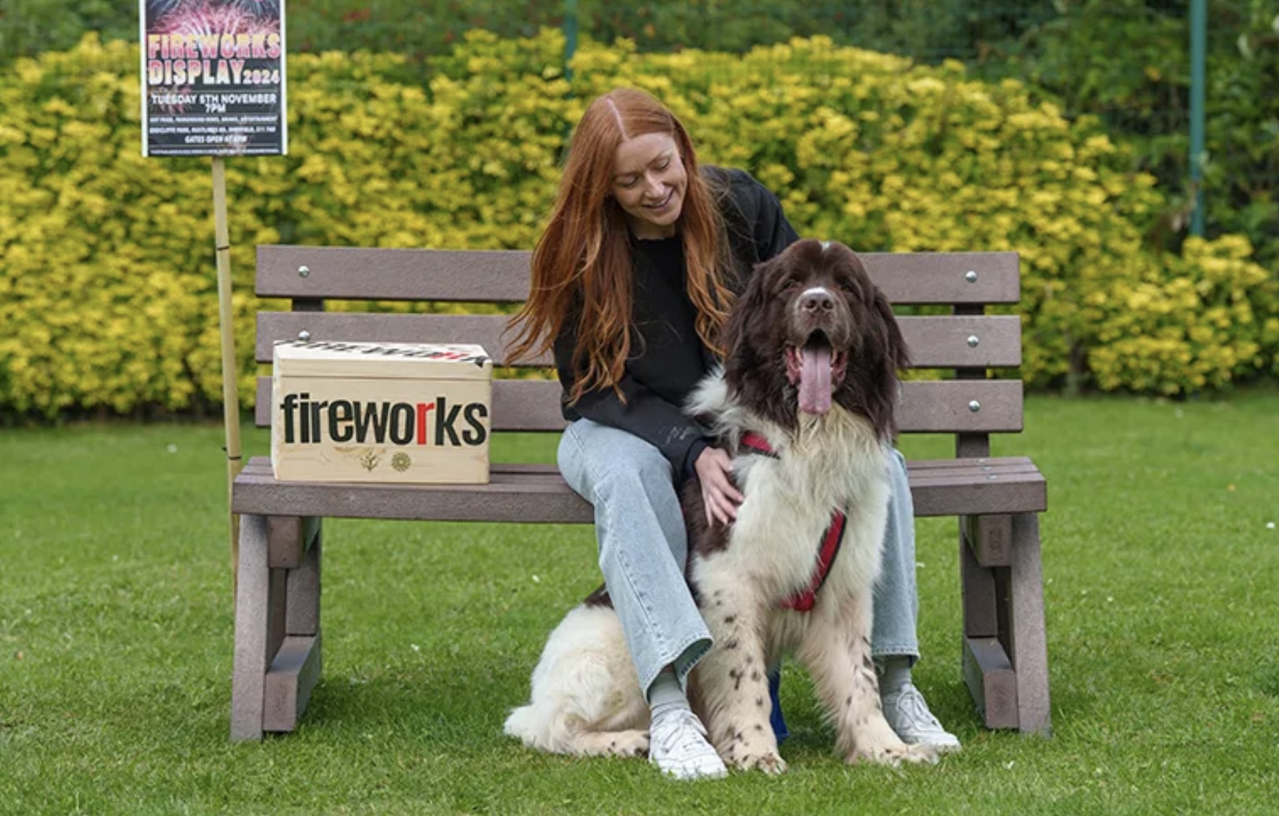 New ‘Kind Sparks’ campaign urges firework safety to protect animals