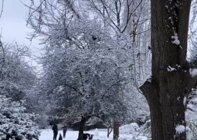 Yellow weather warning for Sheffield as snow forecasted overnight