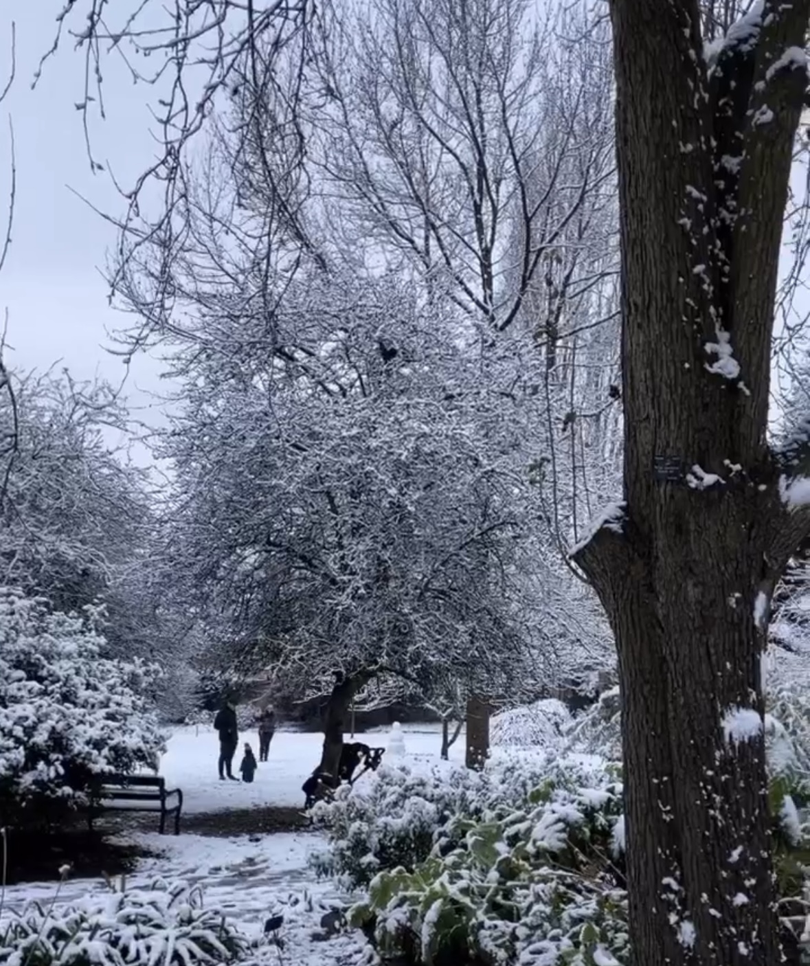 Yellow weather warning for Sheffield as snow forecasted overnight