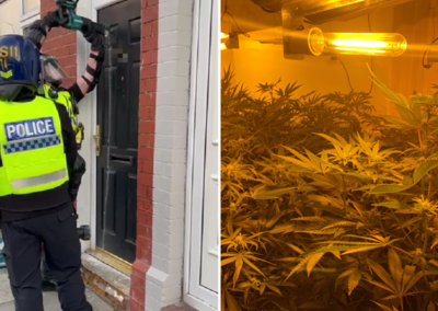 Over 120 cannabis plants seized from Doncaster drug factory