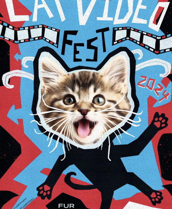 CatVideoFest brings paws and applause to Sheffield for charity