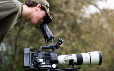 Is a Production Degree Worth It?