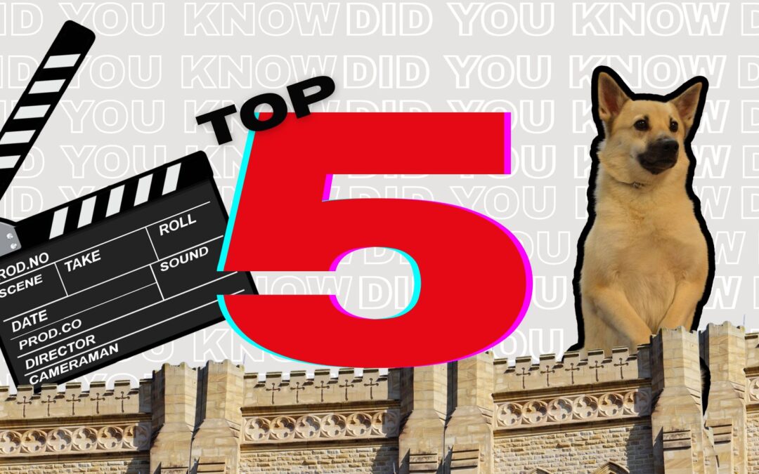 5 TV production roles you didn’t know existed