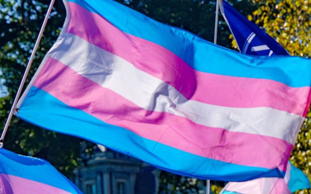 Hate Crime Awareness Week: How do we support trans people?