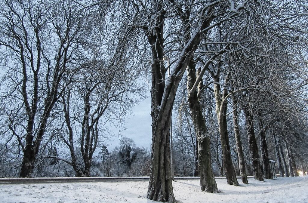 Yellow snow and ice warnings in Yorkshire