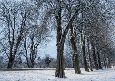 Yellow snow and ice warnings in Yorkshire