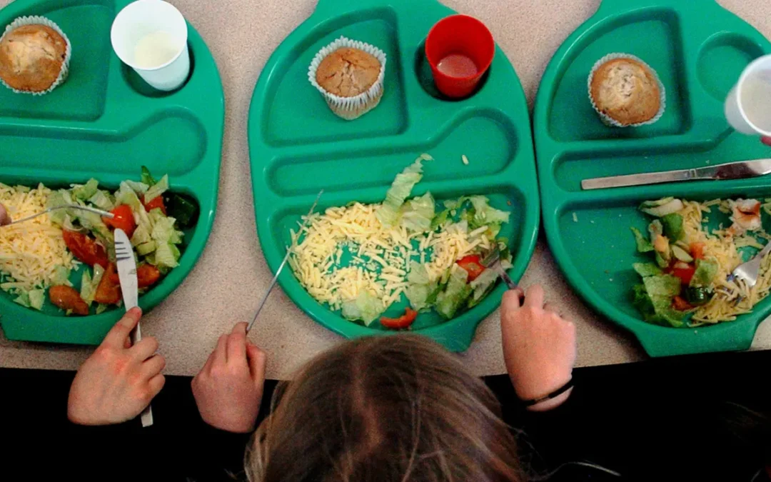 York primary schools get free lunches in new council pilot