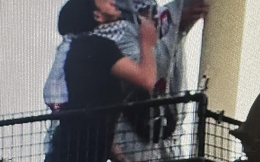 Police releases images of protestors who removed Israeli flag at Sheffield Town Hall