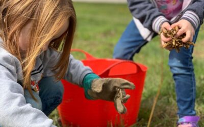 Charity encouraging Sheffield children to get involved with nature is urging for public help.