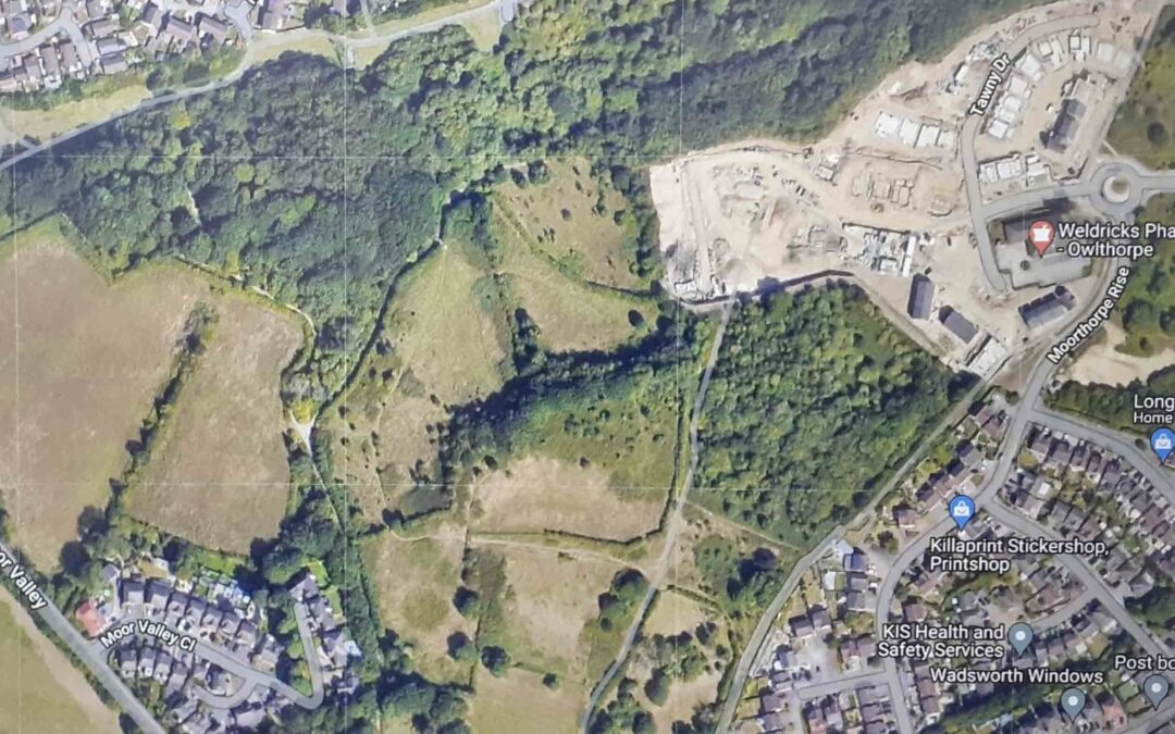 Ariel view of grasslands grazing project