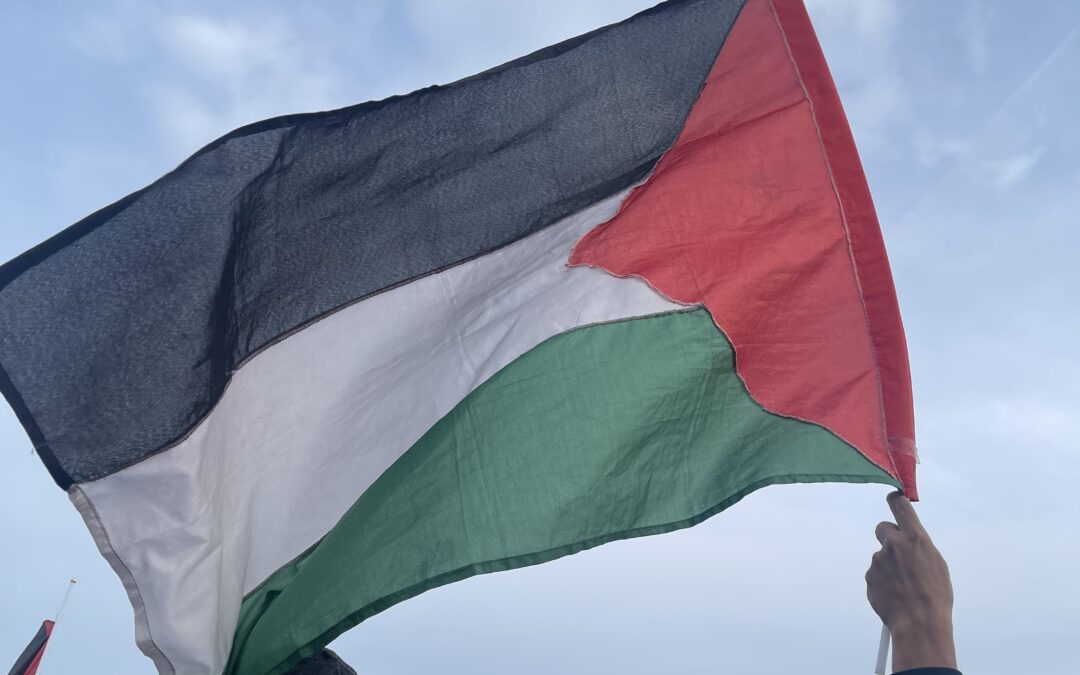 Emergency Demonstration for Palestine takes place in Sheffield City Centre