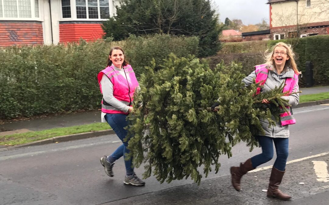 Sheffield Hospitals Charity launches tree recycling campaign