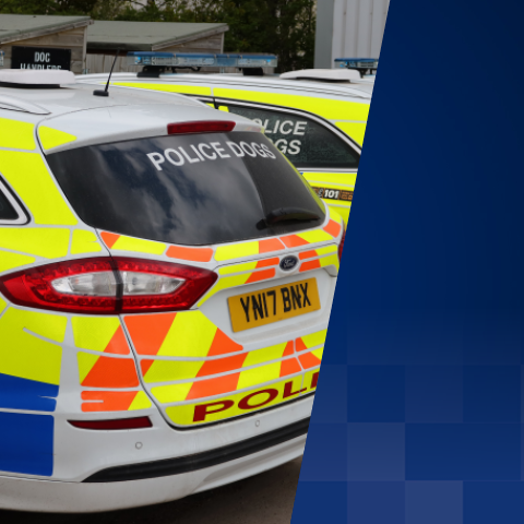 South Yorkshire Police seek more information on alleged Sheffield stabbing